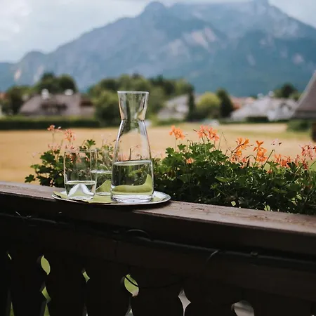 酒店 Friesacher's Aniferhof 阿尼夫