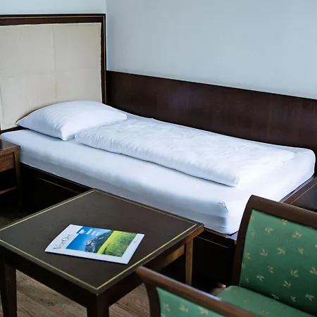 Hotel Friesacher's Aniferhof 3*