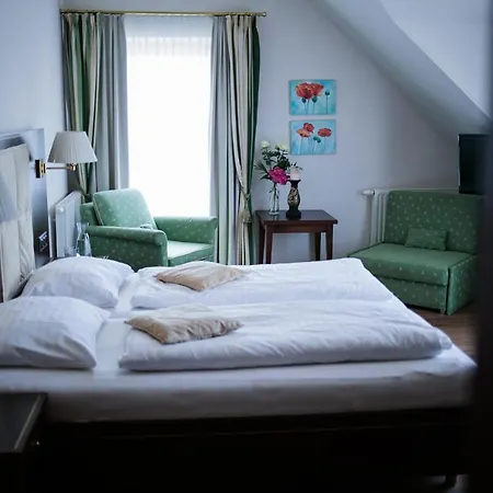 酒店 Friesacher's Aniferhof 3*